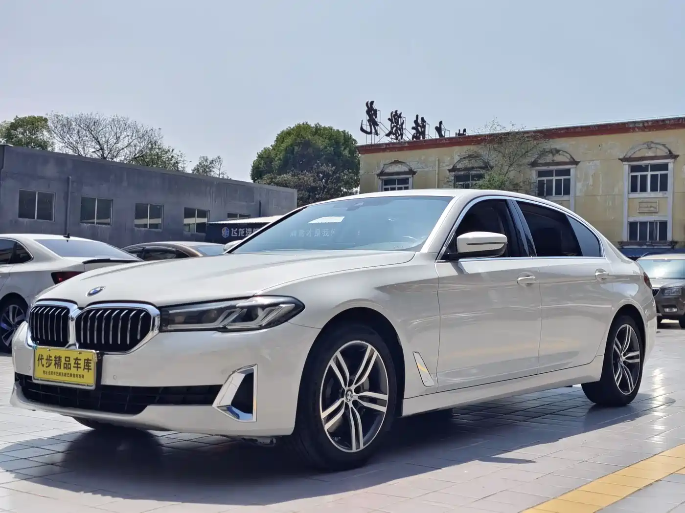 BMW 5 Series 2021 530Li Leading Luxury Package