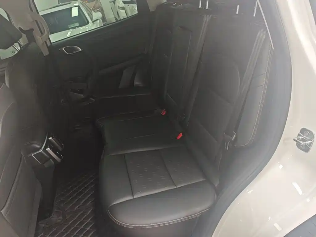 Haval Big Dog 2025 2024 1.5T DCT Border Collie Edition