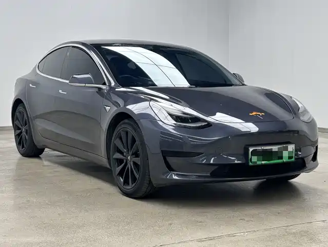 Tesla Model 3 2019 Standard Range Rear-Wheel Drive Upgrade — фото 3