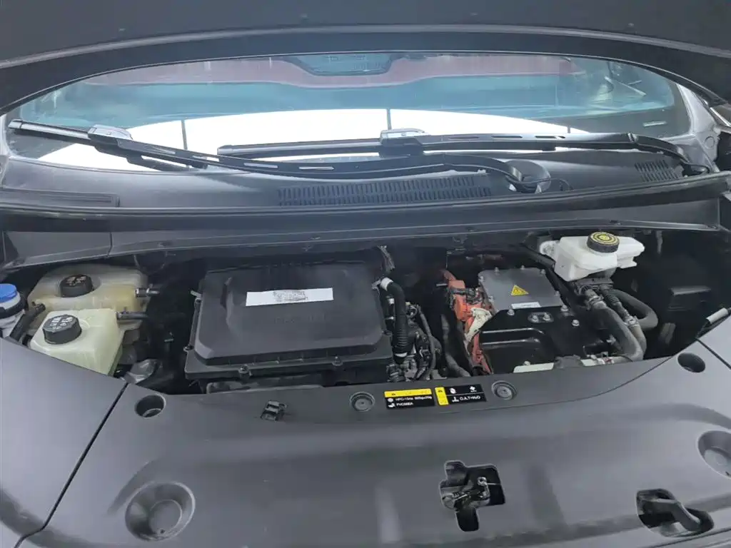 GAC Trumpchi Trumpchi E9 2023 E9 MAX фото 20