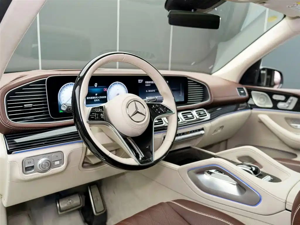 Mercedes-Benz Maybach GLS 2024 GLS 480 4MATIC фото 8