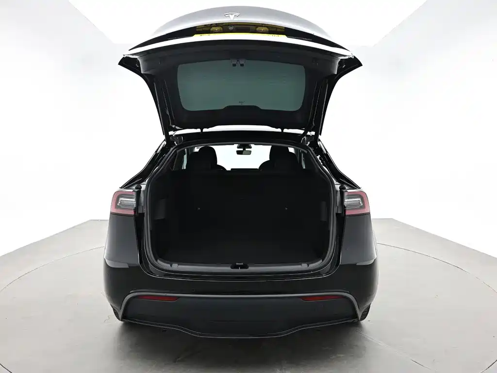Tesla Model Y 2021 2021 Standard Range Rear-Wheel Drive