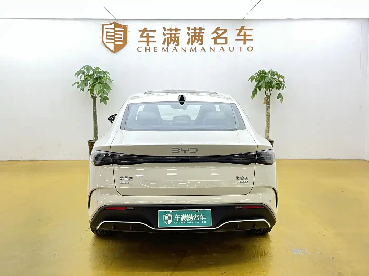 BYD Seal 06 New Energy 2025 DM-i Smart Drive Edition 120KM Luxury фото 11