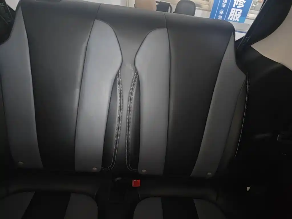 Roewe Kaiwei CLEVER 2023 2022 311km Vitality Bobo Edition