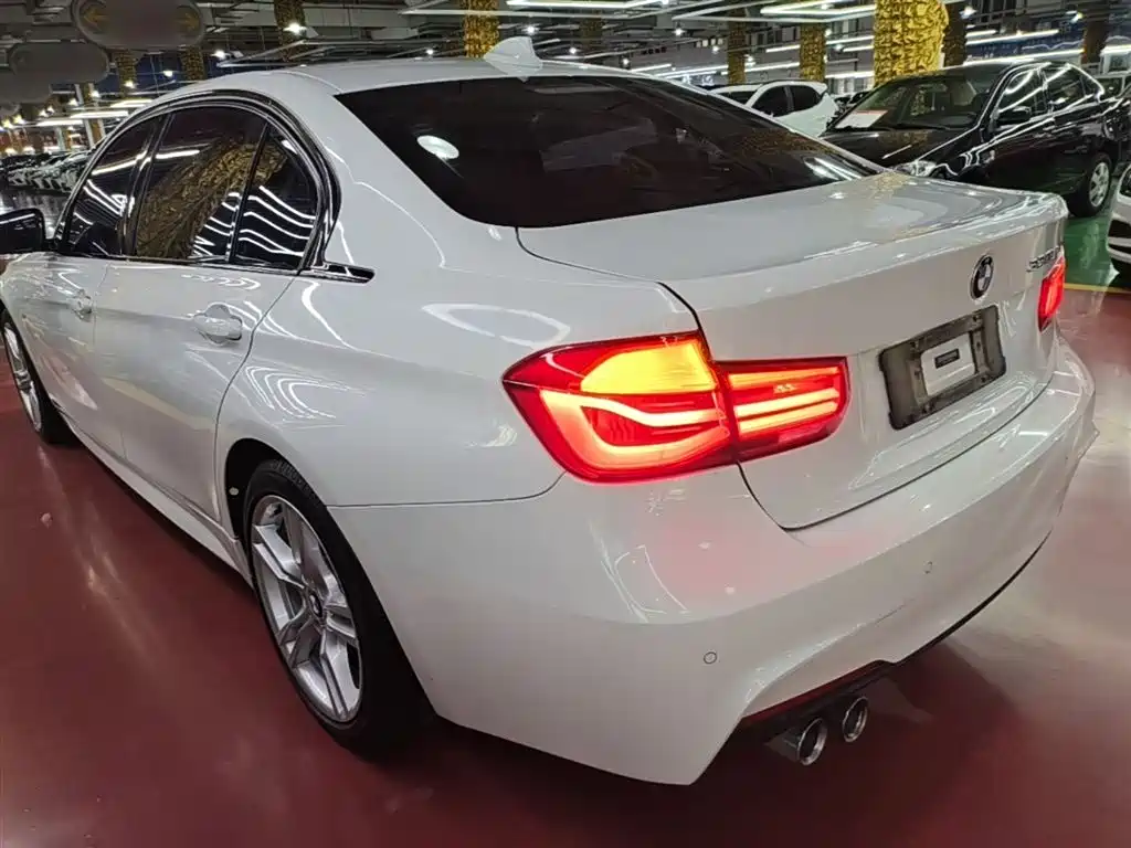 BMW 3 Series 2019 320Li M Sport Package фото 5