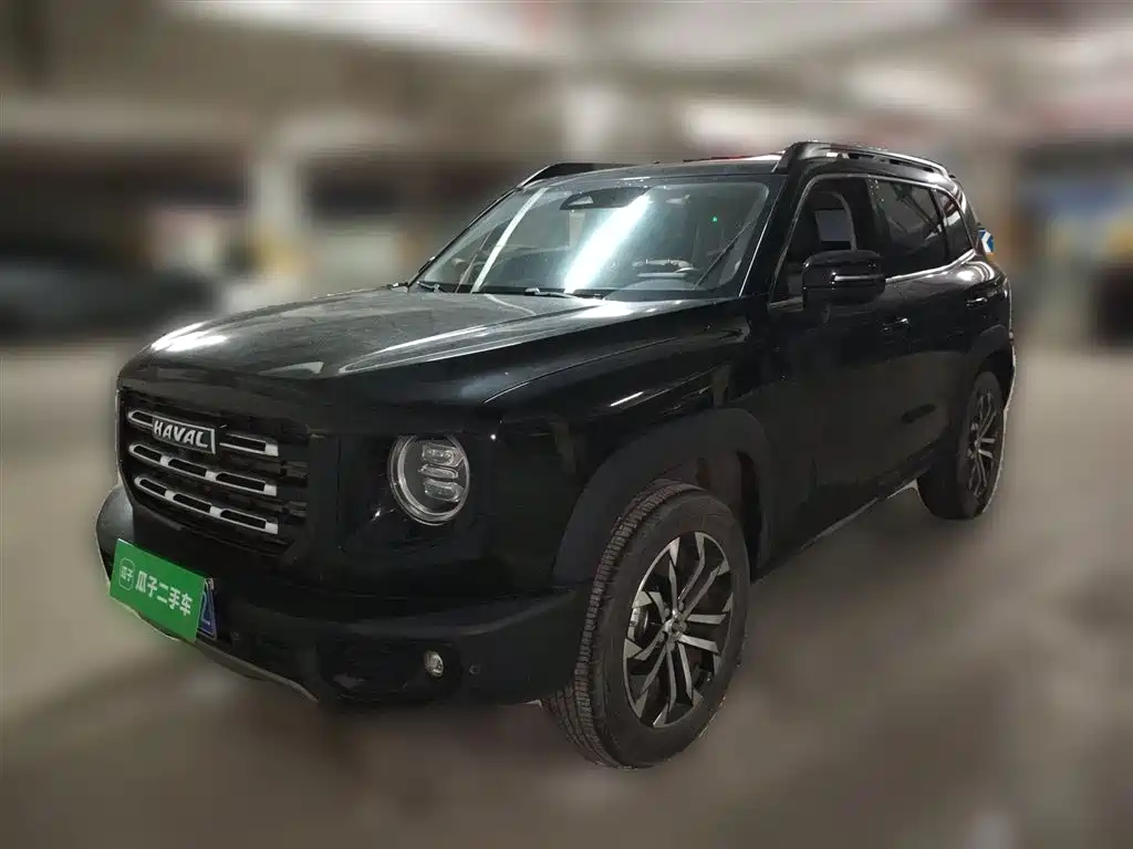 Haval Big Dog 2022 1.5T DCT FWD Border Collie Edition фото 2