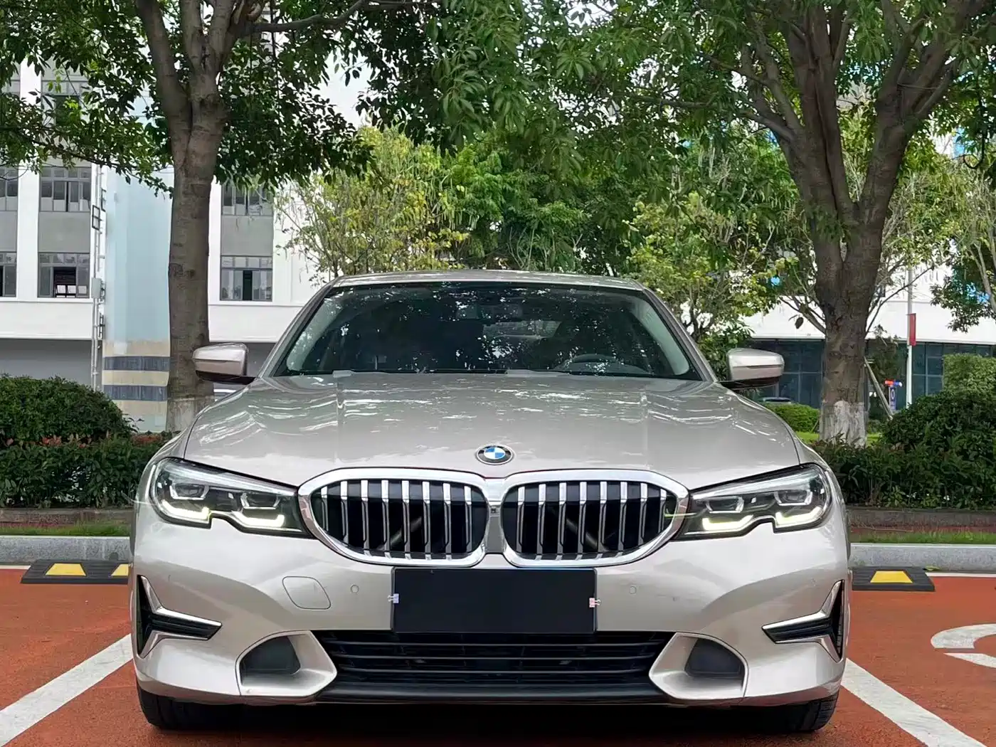 BMW 3 Series 2020 325Li Launch Edition фото 2