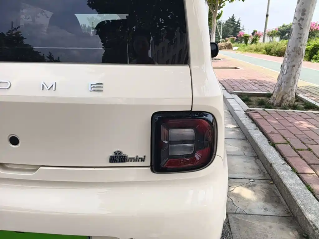 Geely Galaxy Panda 2026 2025 Panda mini 210km Vitality Bear