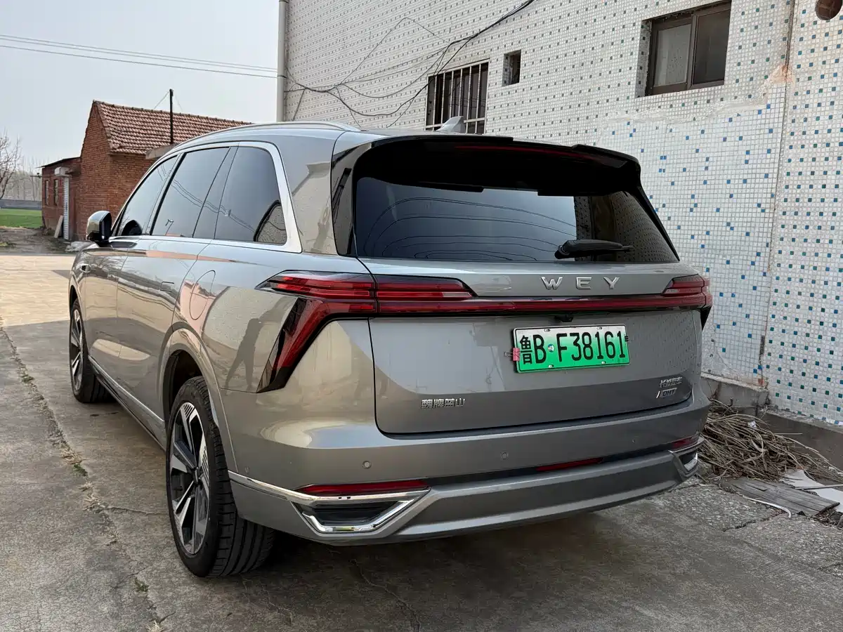 WEI PAI WEI BRAND BLUE MOUNTAIN