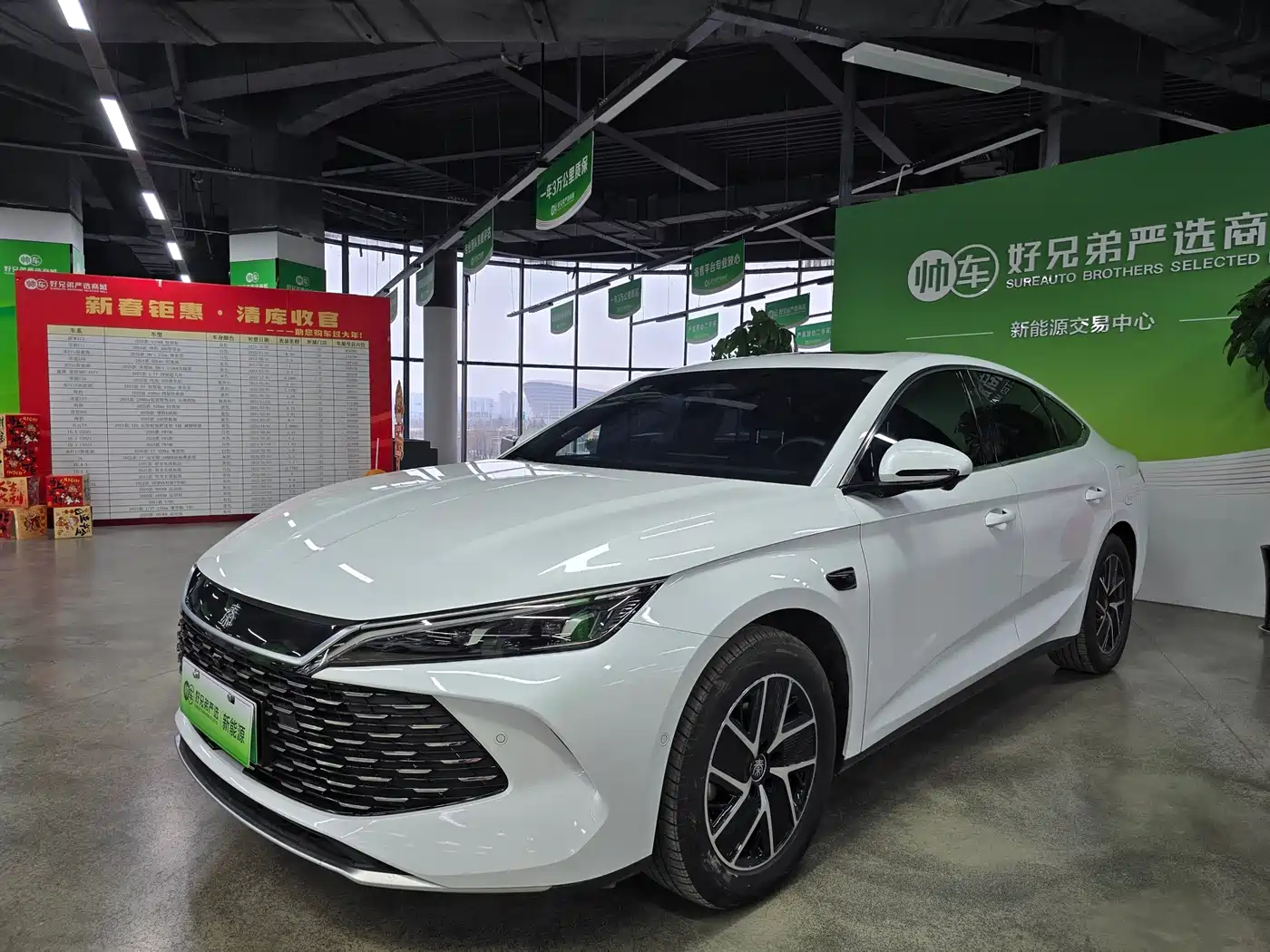BYD QIN L
