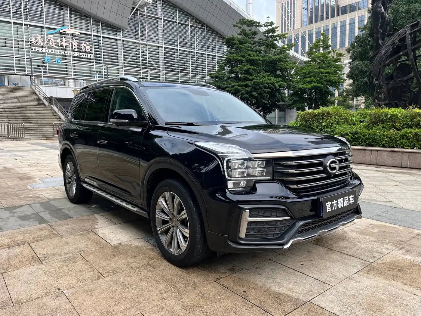 GAC Trumpchi Trumpchi GS8 2020 Model 390T FWD Luxury Smart Connect (7-seater) фото 2