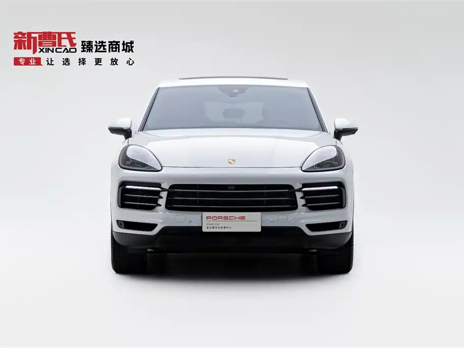Porsche Cayenne 2019 Cayenne 3.0T фото 2