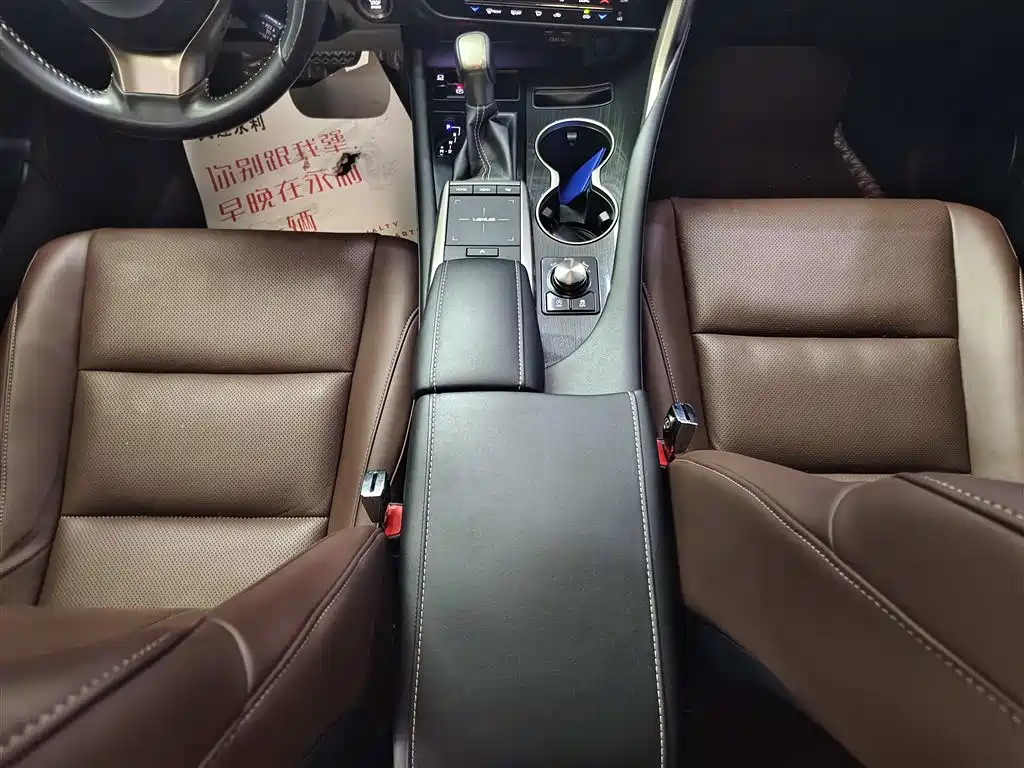 Lexus RX 2020 300 2WD Elite Edition China VI фото 15
