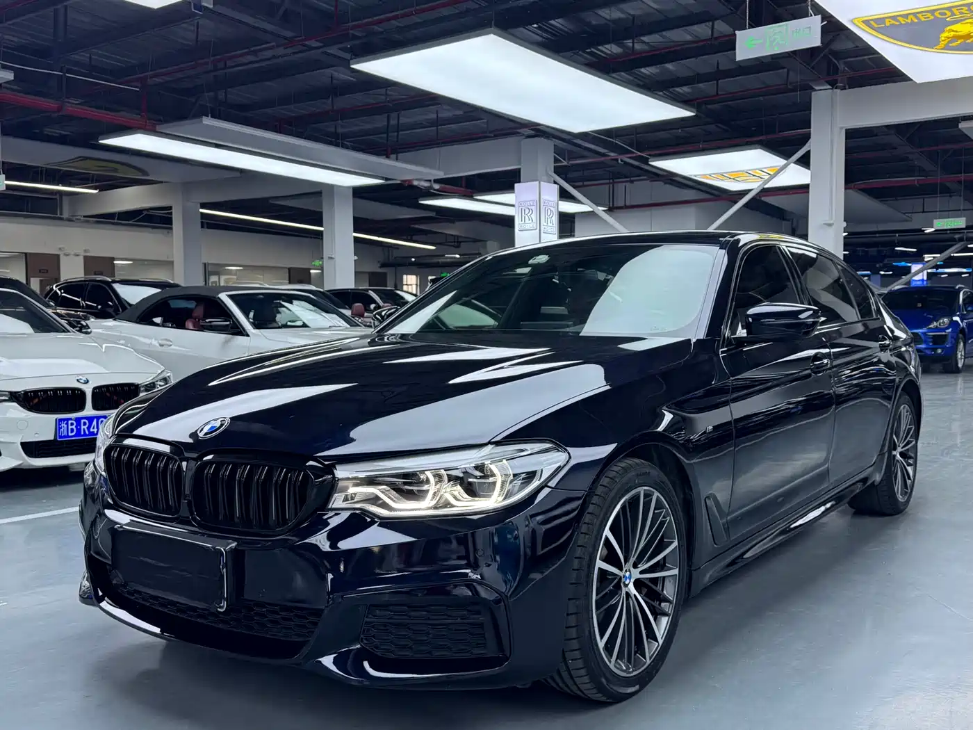 BMW 5 Series 2020 530Li Leading M Sport Package