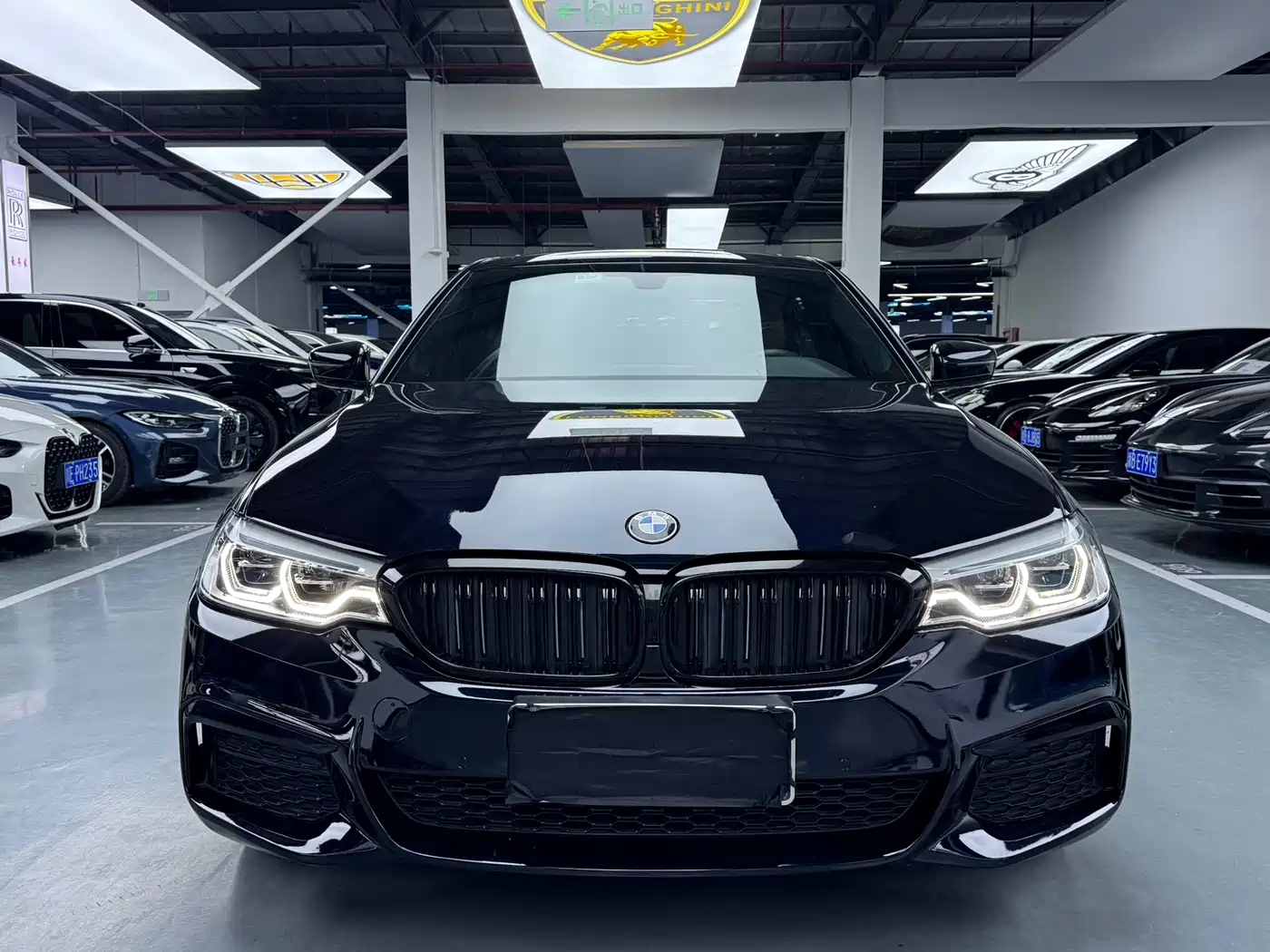 BMW 5 Series 2020 530Li Leading M Sport Package фото 2