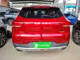 صورة 6 - Haval H4