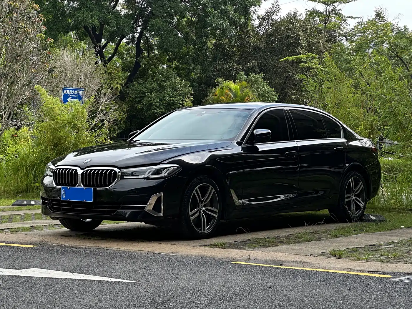 BMW 5 Series 2023 530Li Leading Luxury Package