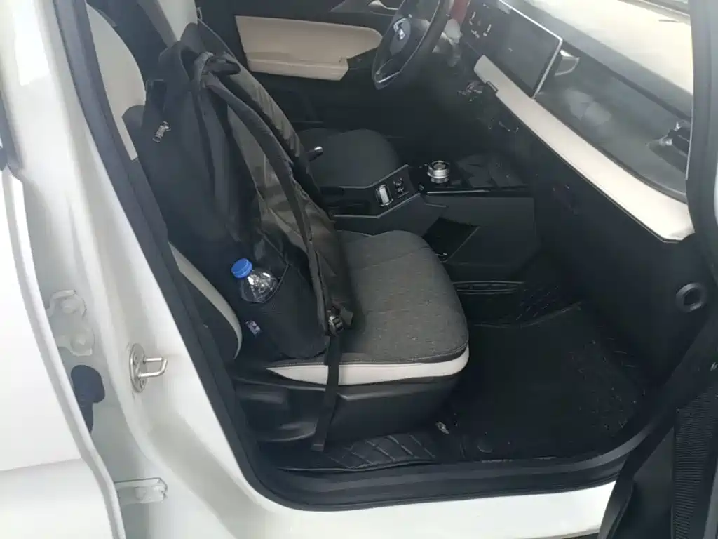 Geely Geometry E Firefly 2024 2024 Model 301km Light Flow