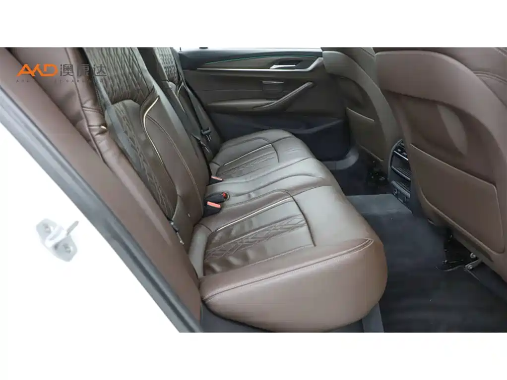 BMW 5 Series 2018 Facelift 530Li Leading Luxury Package фото 8