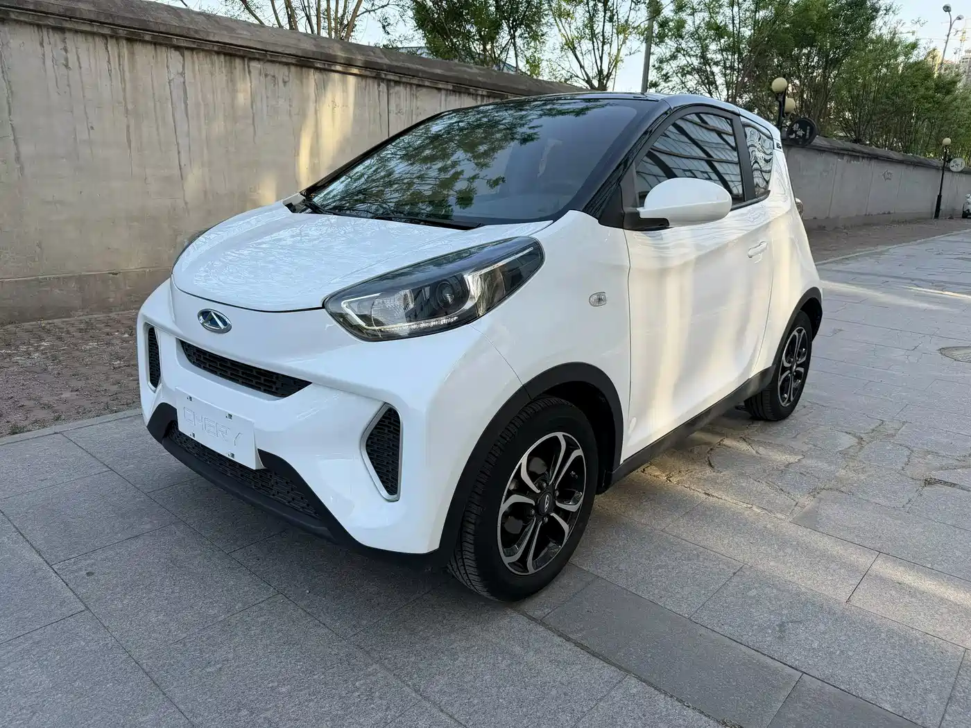 QQ New Energy Little Ant 2021 150K Ant Fans Edition Ant Cool LFP