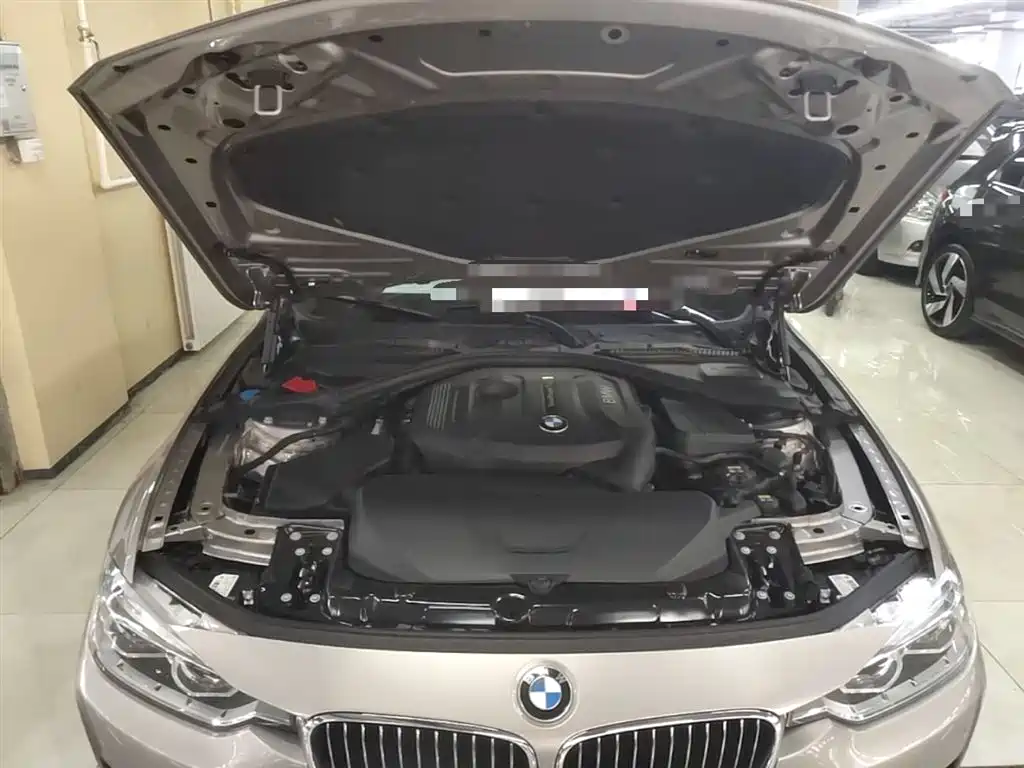 BMW 3 Series 2017 320Li Luxury Design Package фото 20