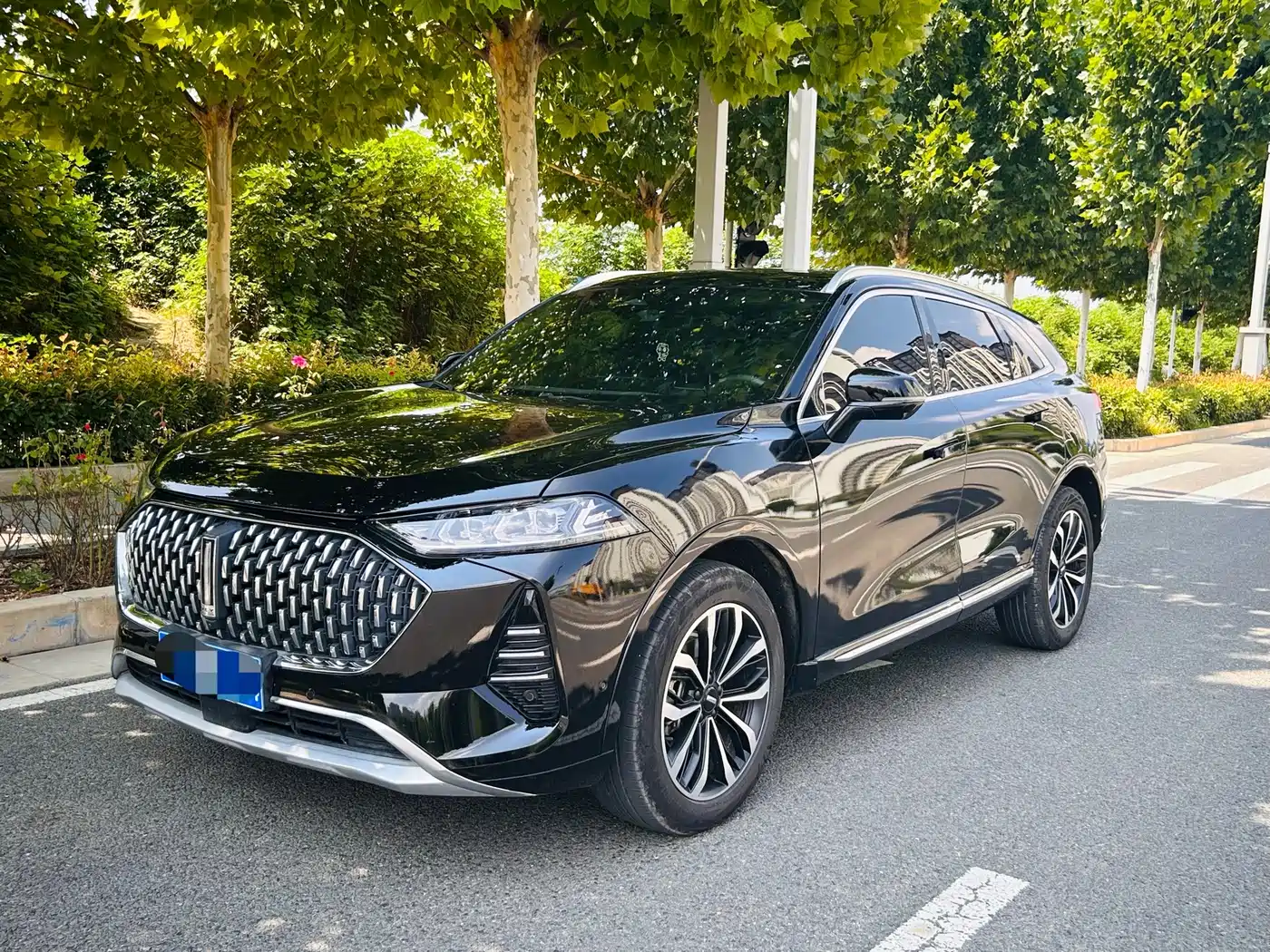 WEY Mocha 2021 2021 2.0T 2WD Extra Rich Edition