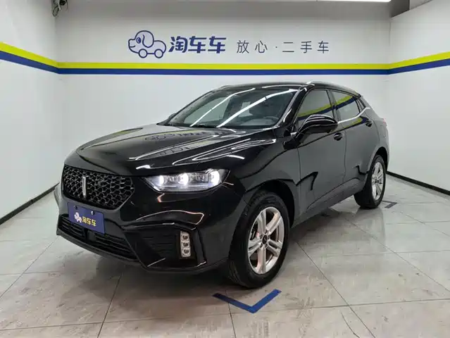 WEI PAI WEI BRAND VV5