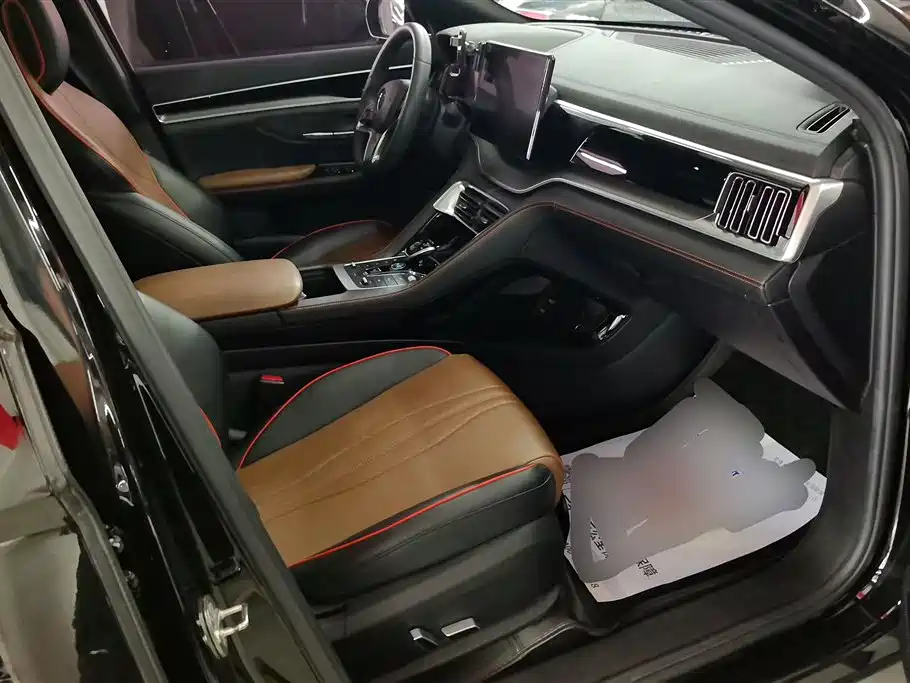 BYD Song PLUS 2020 1.5T Automatic Flagship фото 8
