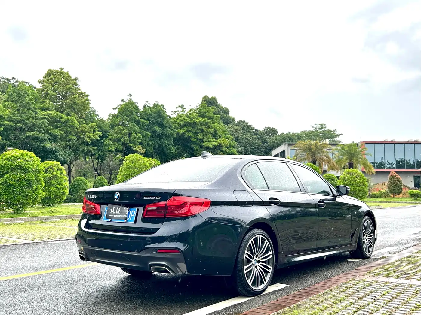 BMW 5 Series 2019 530Li Leading M Sport Package фото 8