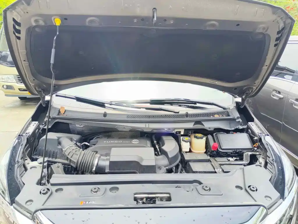 Buick GL8, миниатюра 9