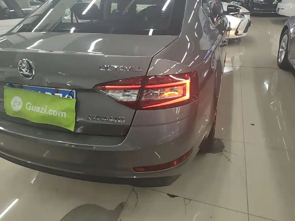 Škoda Octavia 2018 1.6L Automatic Comfort фото 8