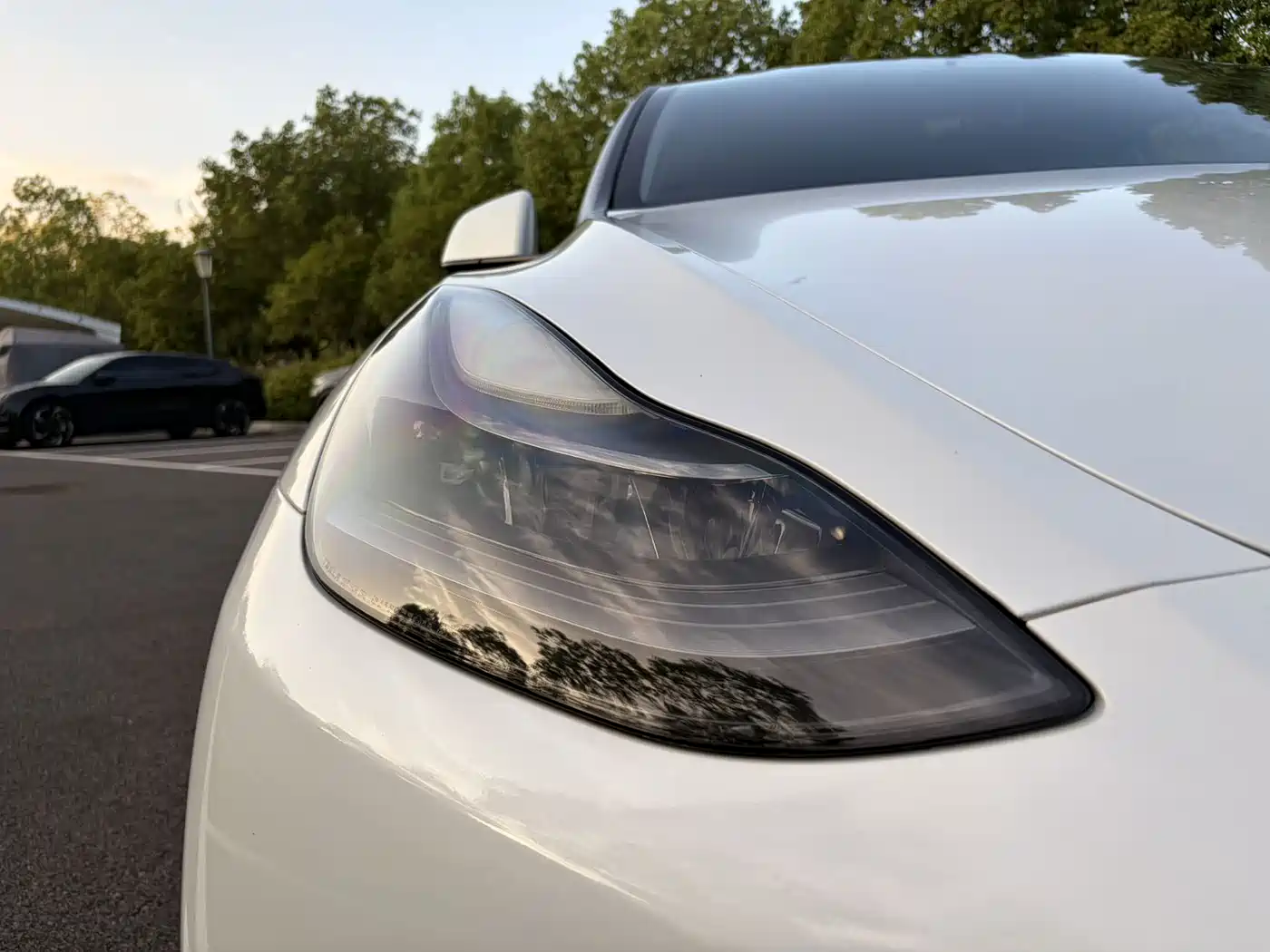 Tesla Model Y 2021 2021 Model Long Range AWD