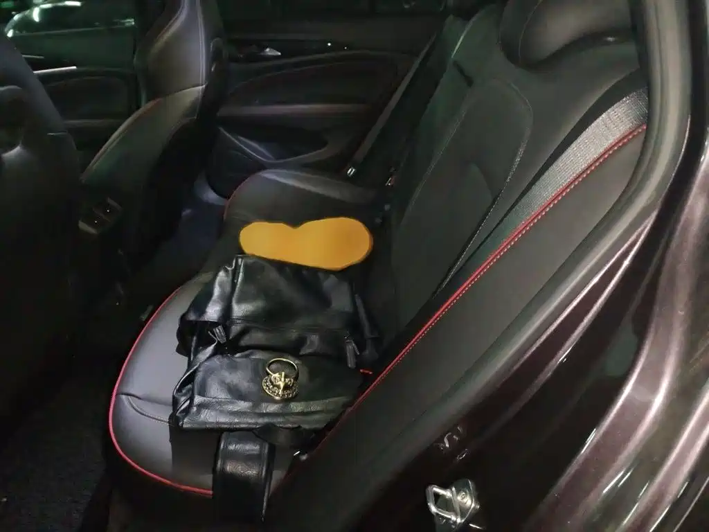 Buick Regal 2017 GS 28T Luxury Type фото 15