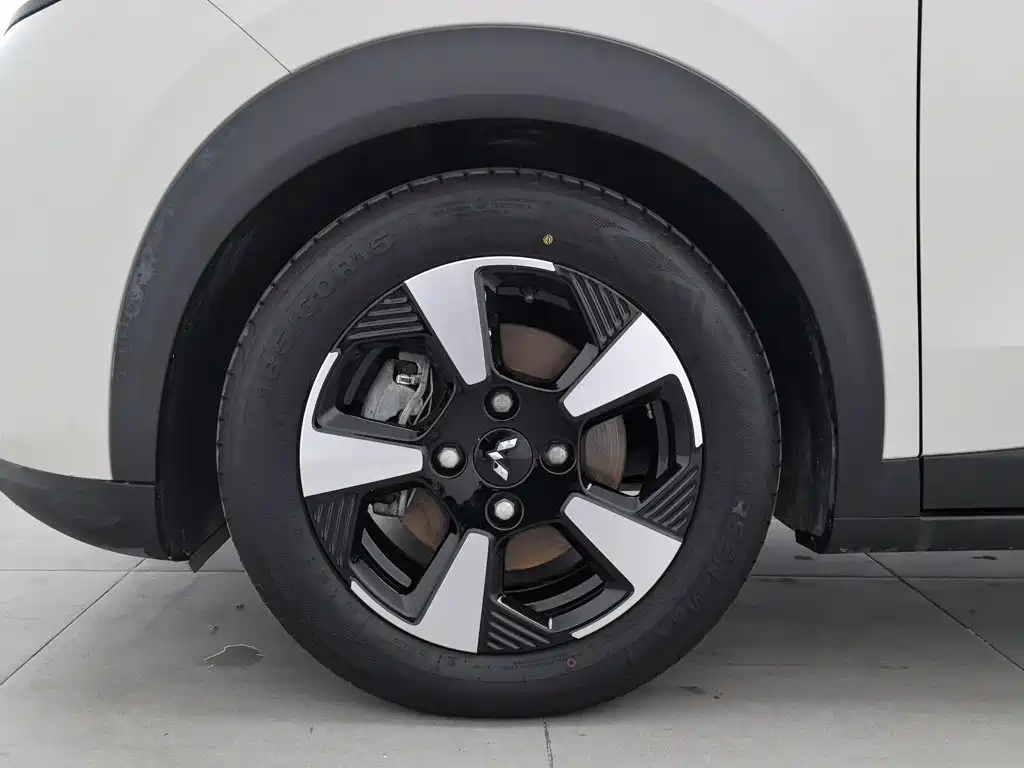 Wuling Motors Wuling Binguo PLUS 2025 2024 510km Range 5-seater