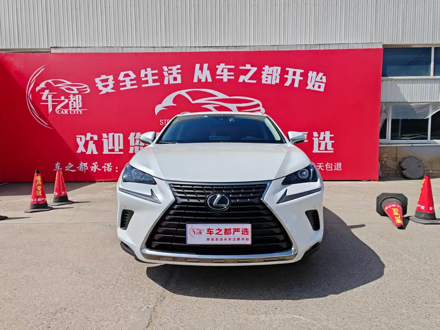 LEXUS NX