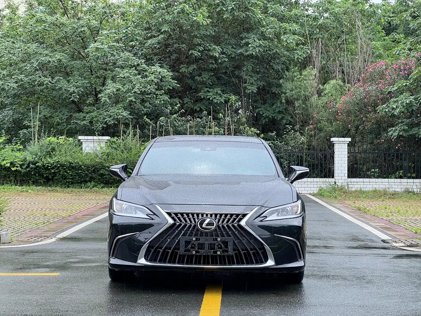 Lexus ES 2022 300h Excellence Edition фото 2