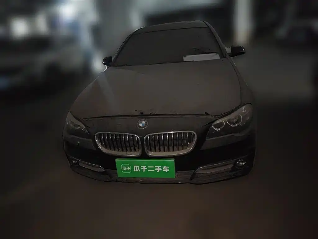 BMW 5 Series 2014 525Li Luxury Design Package фото 3