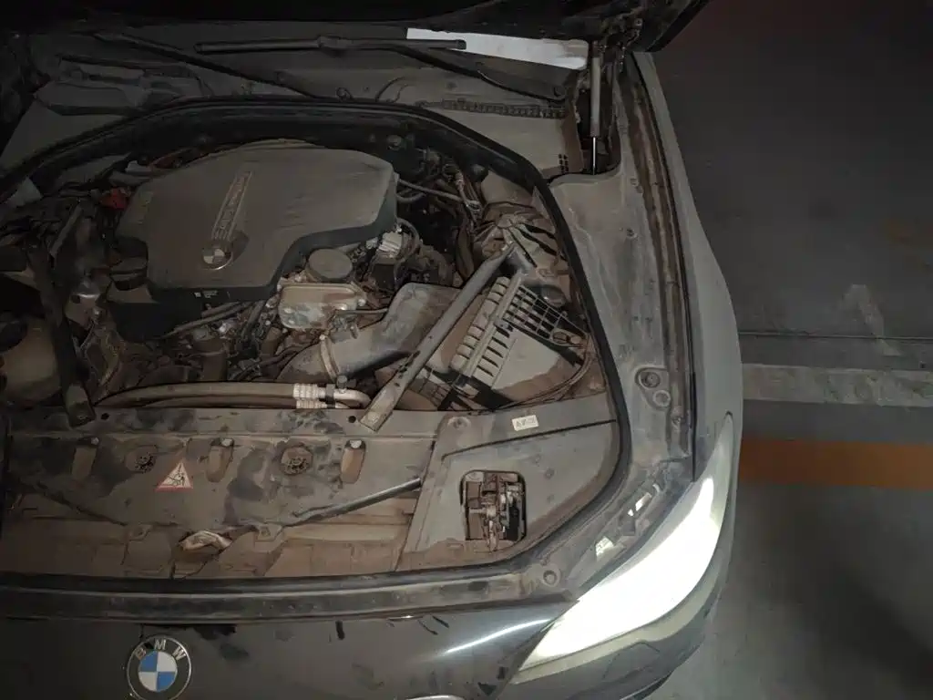 BMW 5 Series 2014 525Li Luxury Design Package фото 24