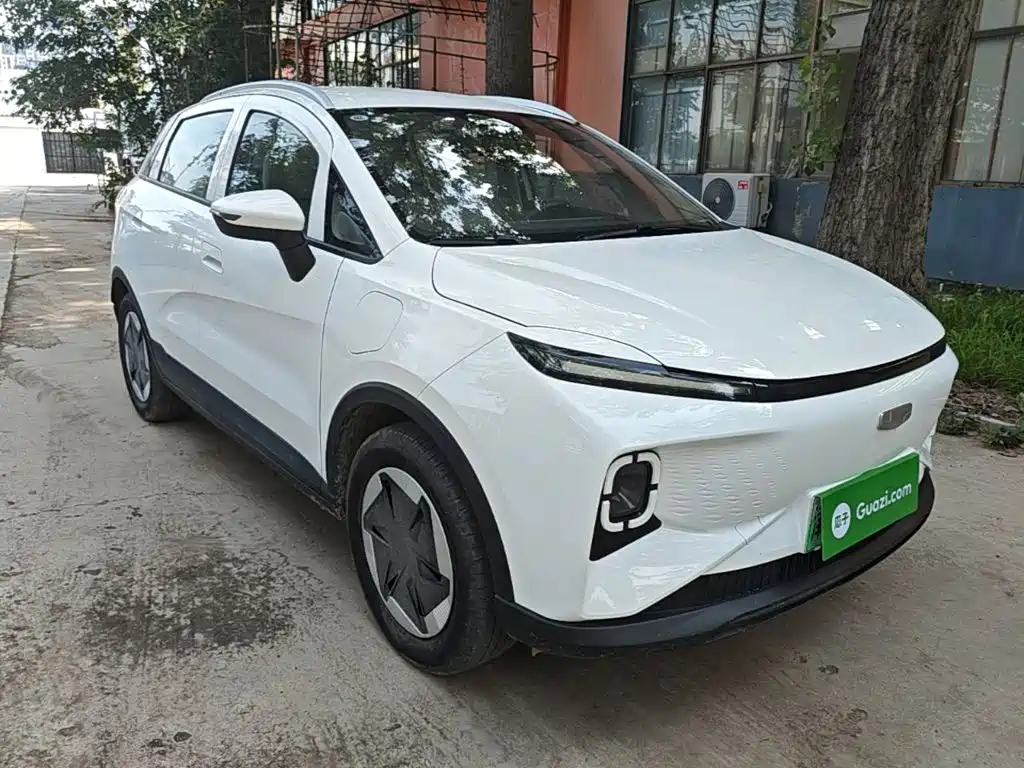 Geely Geometry E Firefly 2024 2024 Model 301km Light Flow