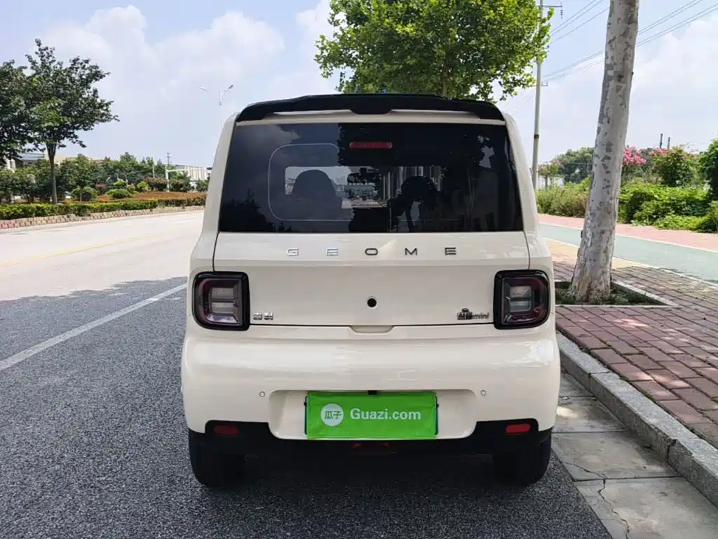 Geely Galaxy Panda 2026 2025 Panda mini 210km Vitality Bear