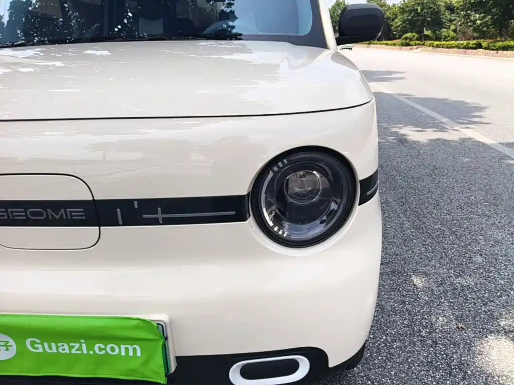 Geely Galaxy Panda 2026 2025 Panda mini 210km Vitality Bear