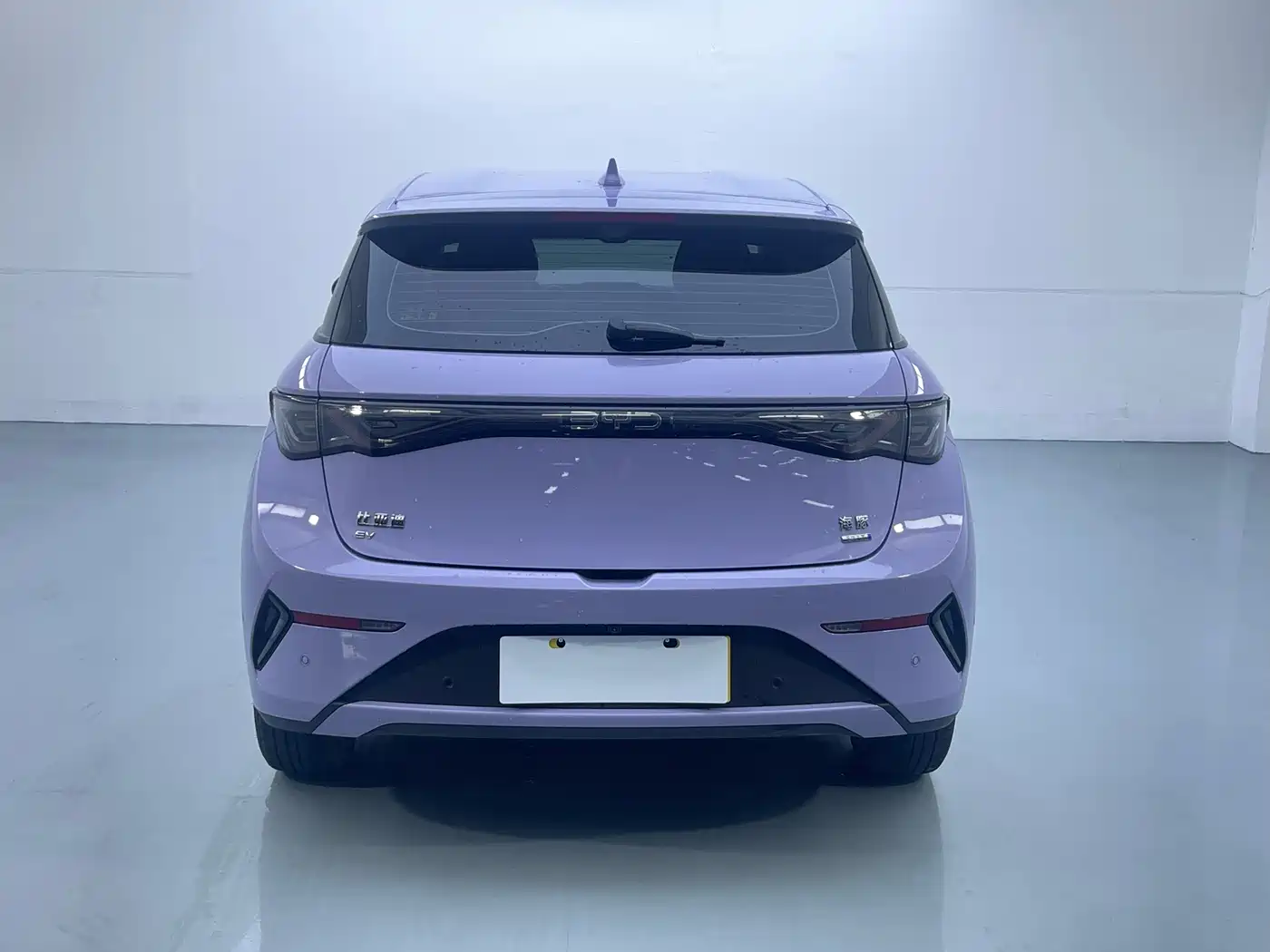 BYD Dolphin 2025 Smart Drive Edition 420km Freedom Version фото 15