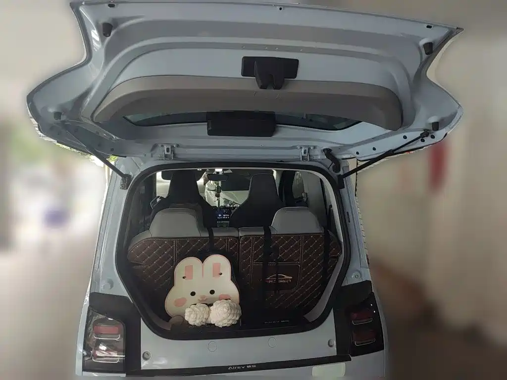 Wuling Motors Wuling Air ev 2022 2023 4-Seat Advanced Edition