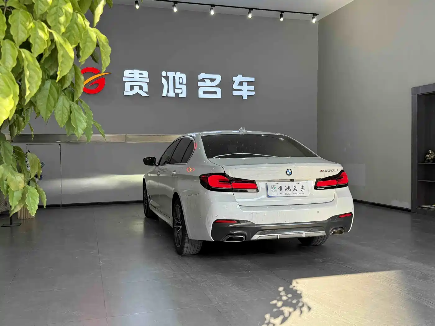 BMW 5 Series 2023 530Li Leading M Sport Package фото 11