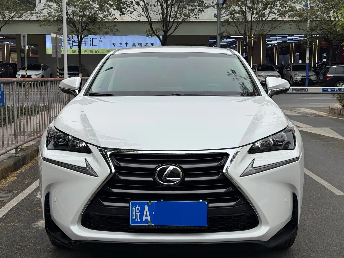 LEXUS NX