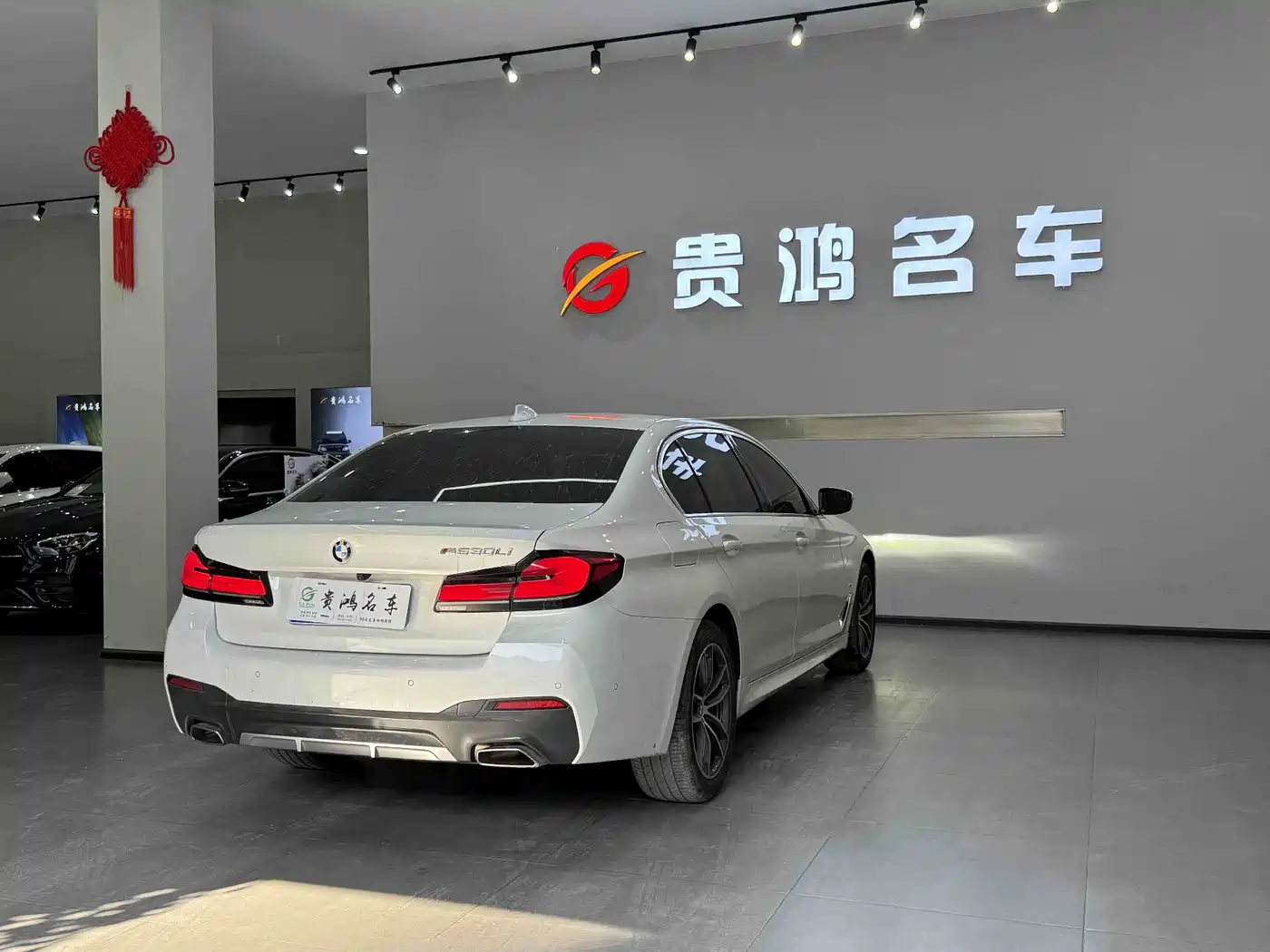 BMW 5 Series 2023 530Li Leading M Sport Package фото 13
