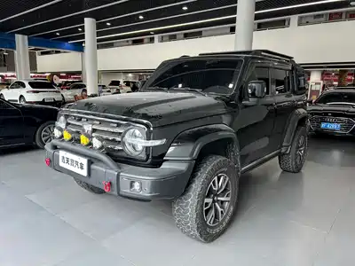 Tank 300