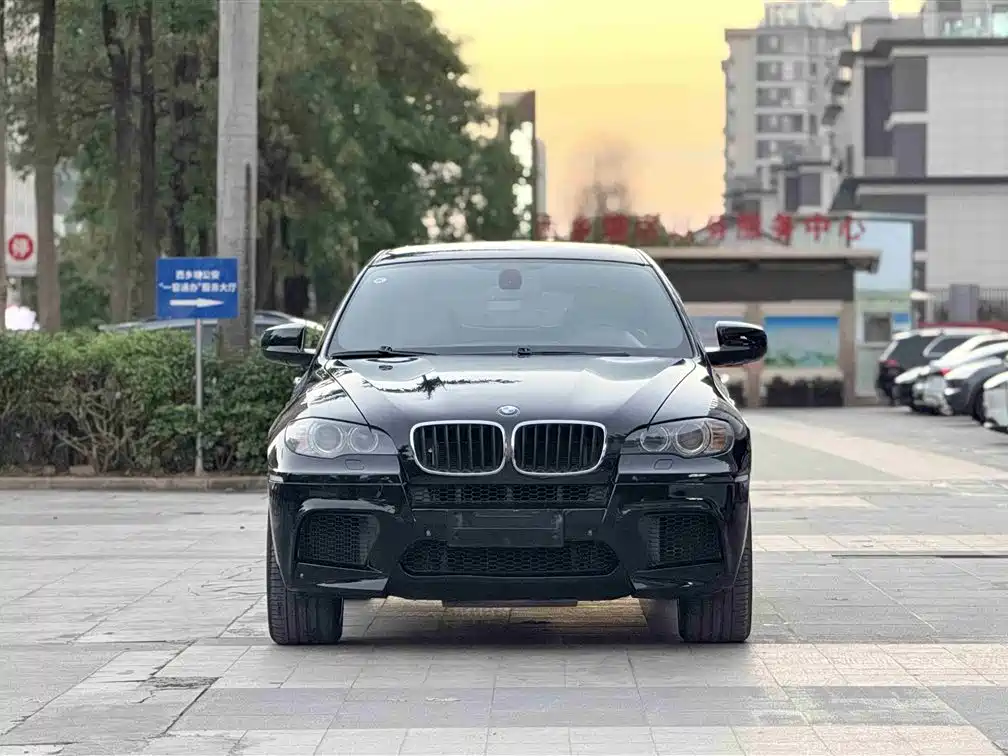 BMW X6 M 2010 X6 M фото 2