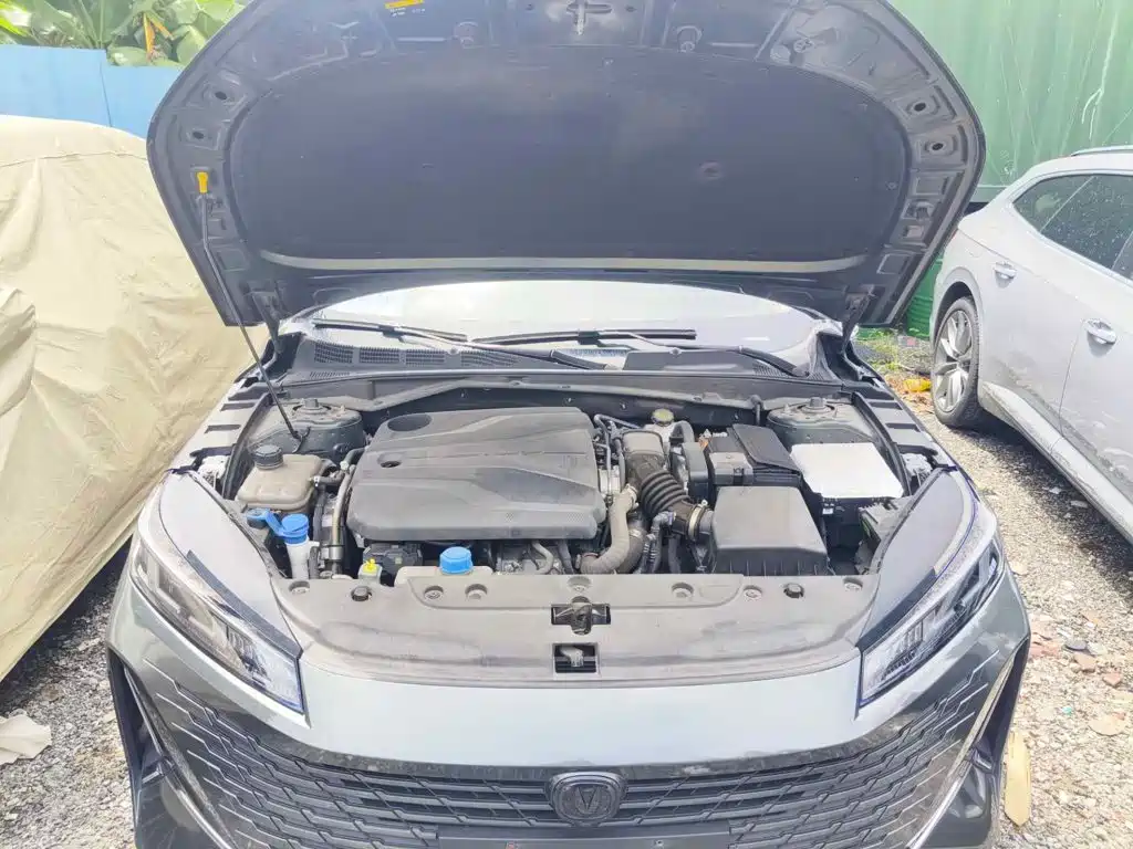 Changan Yida 2023 2023 Blue Whale NE 1.5T GDI DCT Pilot