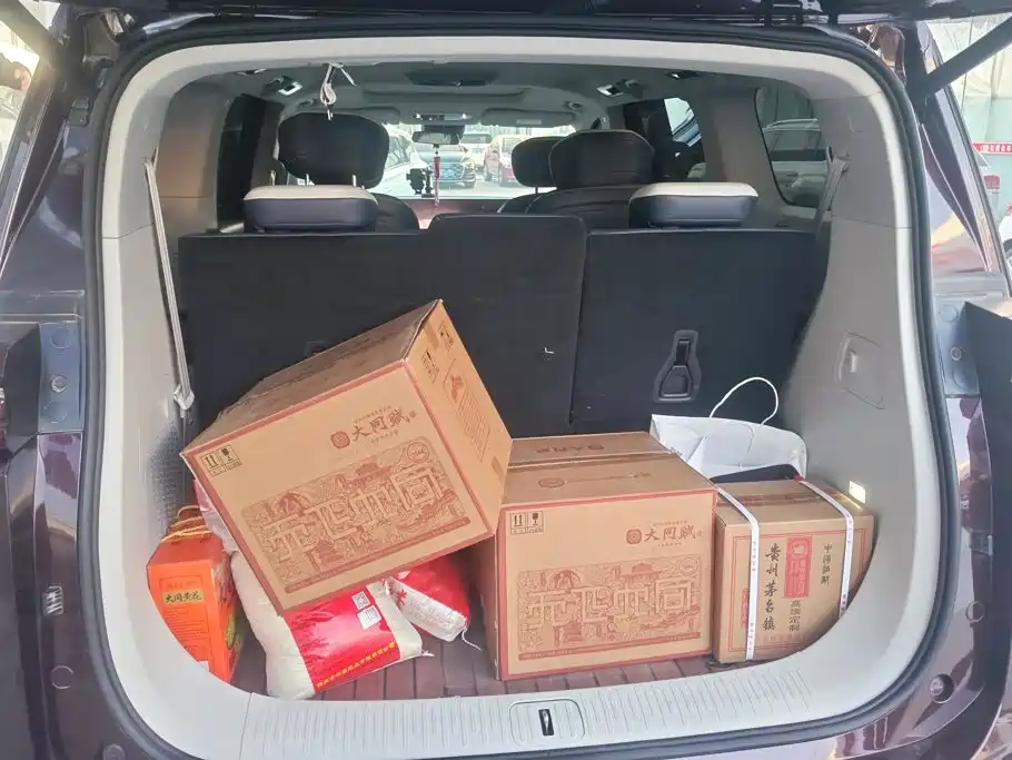 Фото 4 - Maxus Maxus G90